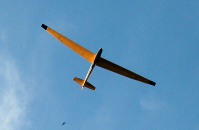 planeur rc
